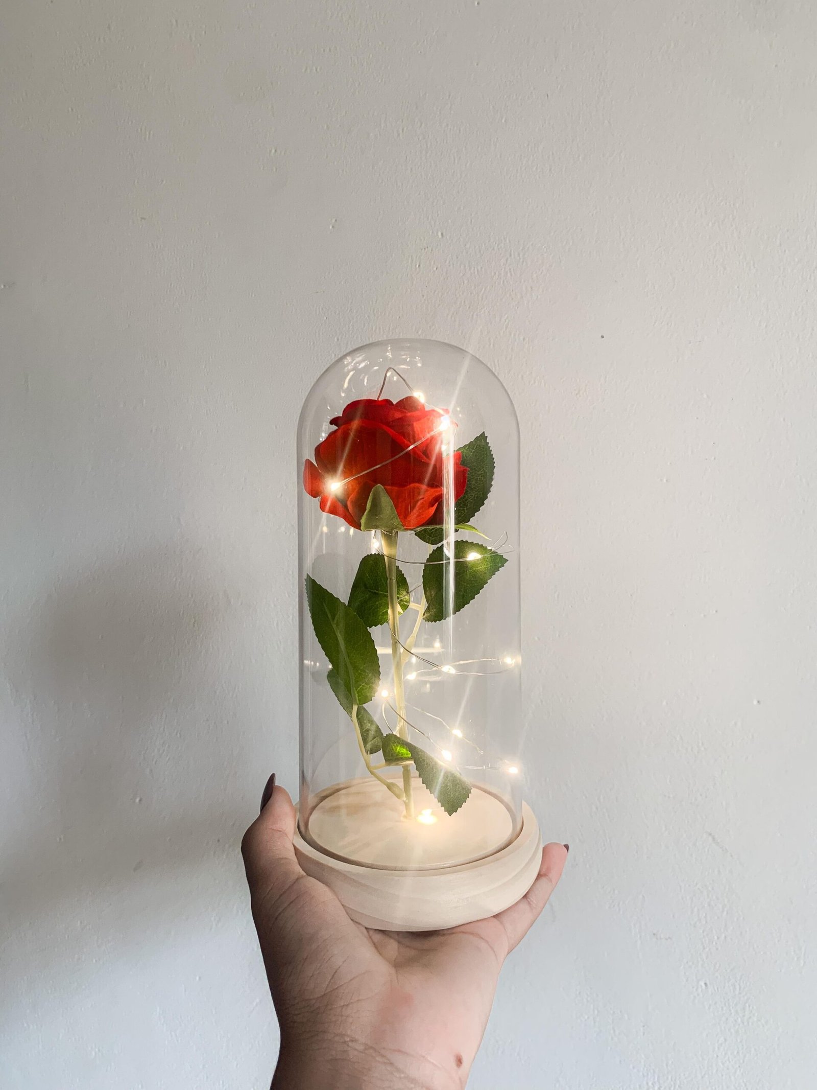 Rosa Bela e a Fera - Image 3